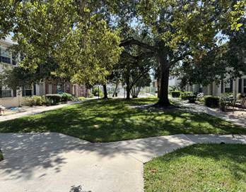 55 Needle Boulevard - 72